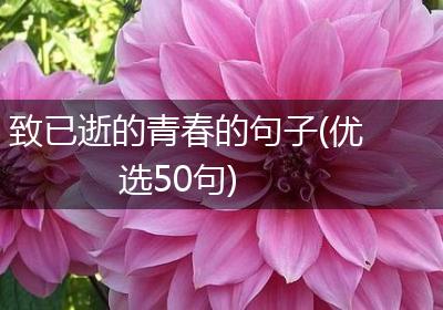 致已逝的青春的句子(优选50句)