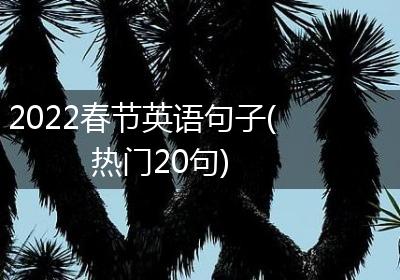2022春节英语句子(热门20句)