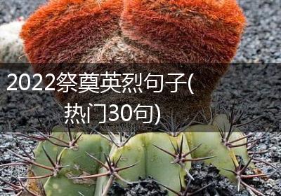 2022祭奠英烈句子(热门30句)