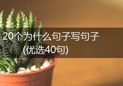 20个为什么句子写句子(优选40句)