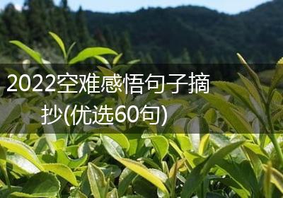 2022空难感悟句子摘抄(优选60句)