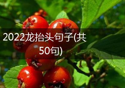 2022龙抬头句子(共50句)