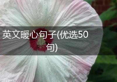 英文暖心句子(优选50句)