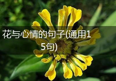 花与心情的句子(通用15句)