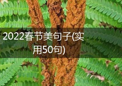 2022春节美句子(实用50句)