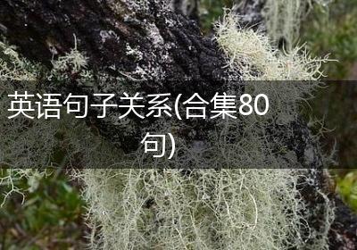 英语句子关系(合集80句)