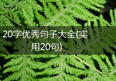 20字优秀句子大全(实用20句)