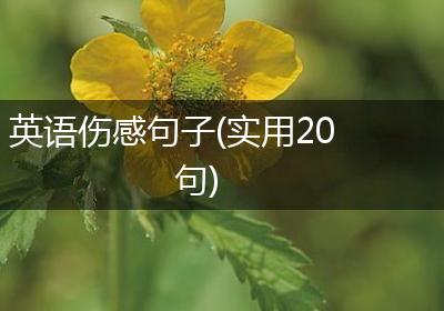 英语伤感句子(实用20句)