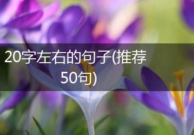 20字左右的句子(推荐50句)