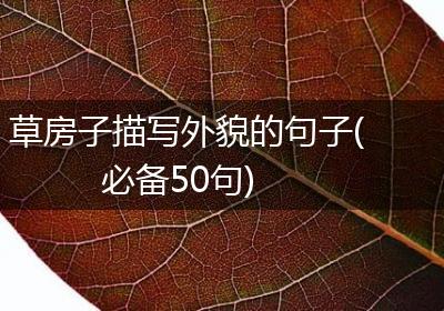草房子描写外貌的句子(必备50句)