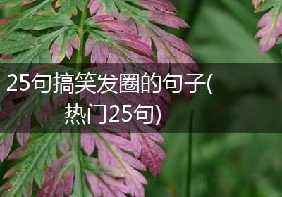 25句搞笑发圈的句子(热门25句)