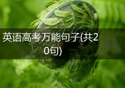 英语高考万能句子(共20句)
