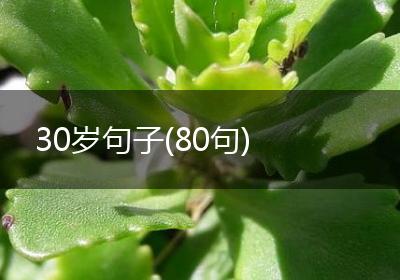 30岁句子(80句)