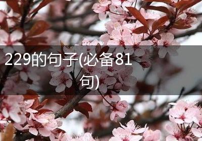 229的句子(必备81句)