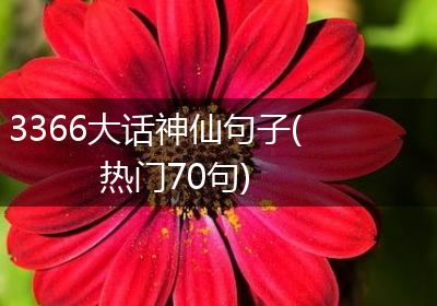 3366大话神仙句子(热门70句)