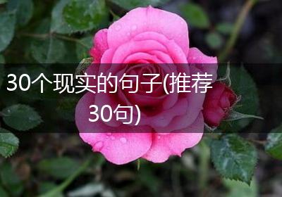 30个现实的句子(推荐30句)