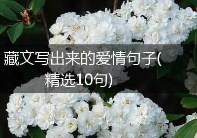 藏文写出来的爱情句子(精选10句)