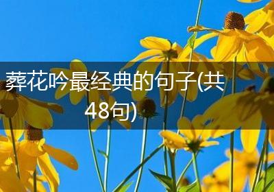 葬花吟最经典的句子(共48句)