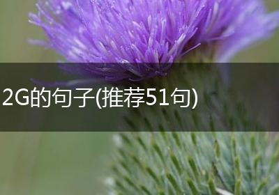 2G的句子(推荐51句)