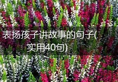 表扬孩子讲故事的句子(实用40句)