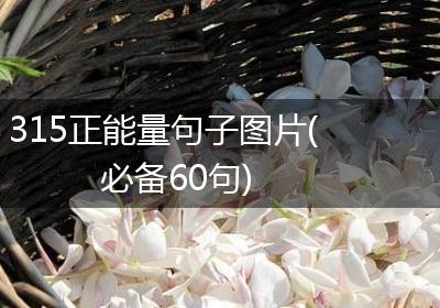 315正能量句子图片(必备60句)