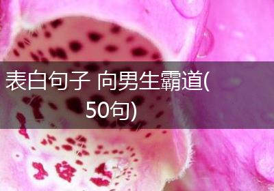 表白句子 向男生霸道(50句)