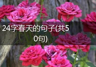24字春天的句子(共50句)