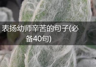 表扬幼师辛苦的句子(必备40句)
