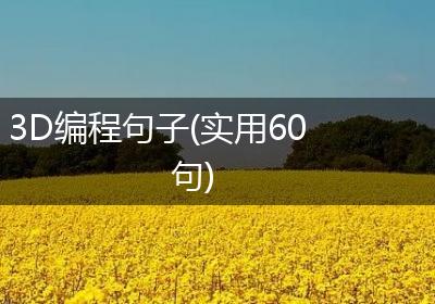 3D编程句子(实用60句)