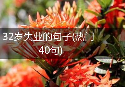 32岁失业的句子(热门40句)