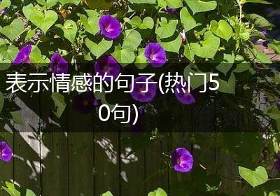 表示情感的句子(热门50句)