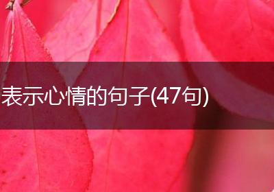 表示心情的句子(47句)