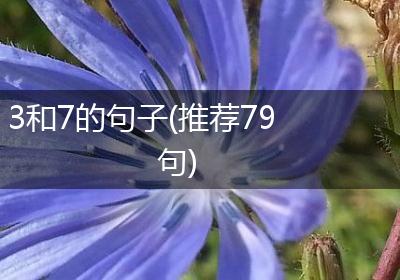3和7的句子(推荐79句)