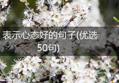 表示心态好的句子(优选50句)