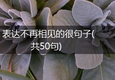 表达不再相见的很句子(共50句)