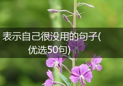 表示自己很没用的句子(优选50句)