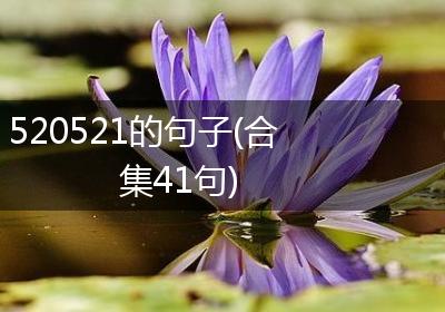 520521的句子(合集41句)