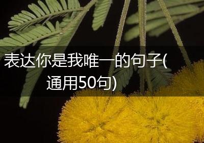 表达你是我唯一的句子(通用50句)