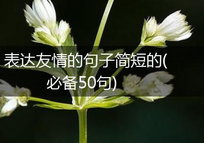 表达友情的句子简短的(必备50句)