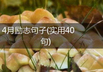 4月励志句子(实用40句)