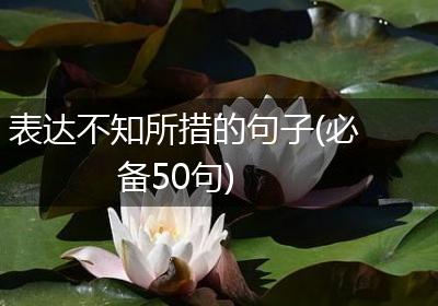 表达不知所措的句子(必备50句)