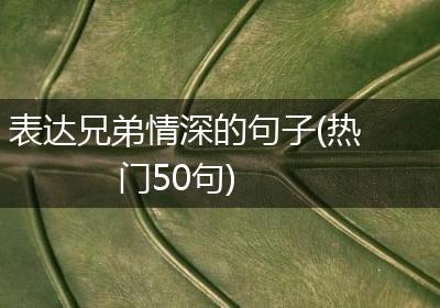 表达兄弟情深的句子(热门50句)
