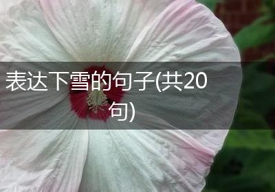 表达下雪的句子(共20句)