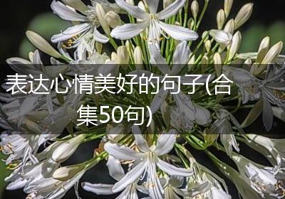 表达心情美好的句子(合集50句)