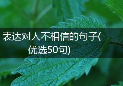 表达对人不相信的句子(优选50句)