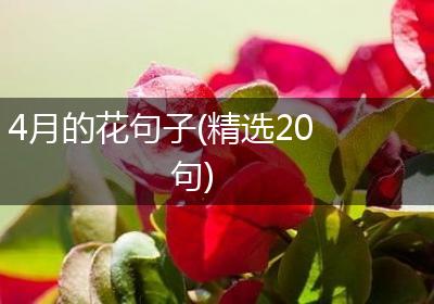 4月的花句子(精选20句)