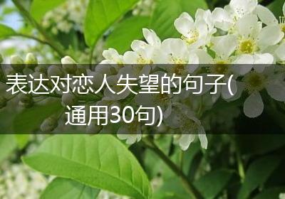 表达对恋人失望的句子(通用30句)