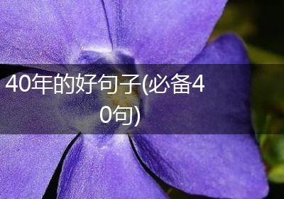 40年的好句子(必备40句)