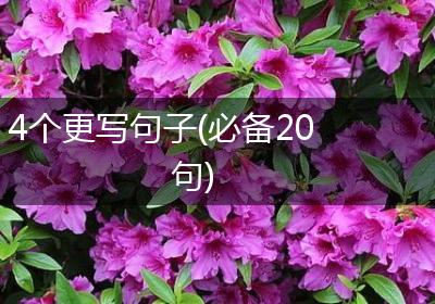 4个更写句子(必备20句)