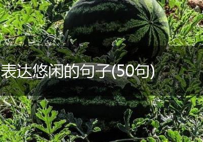表达悠闲的句子(50句)